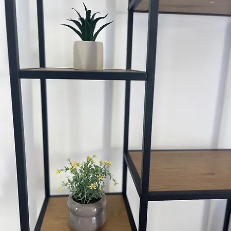 Nieves لا أوليفا